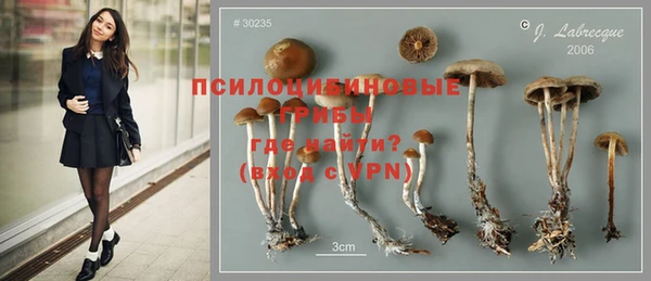 ГАЛЛЮЦИНОГЕННЫЕ ГРИБЫ Баксан