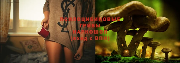 ПСИЛОЦИБИНОВЫЕ ГРИБЫ Балахна