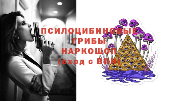 ПСИЛОЦИБИНОВЫЕ ГРИБЫ Балахна